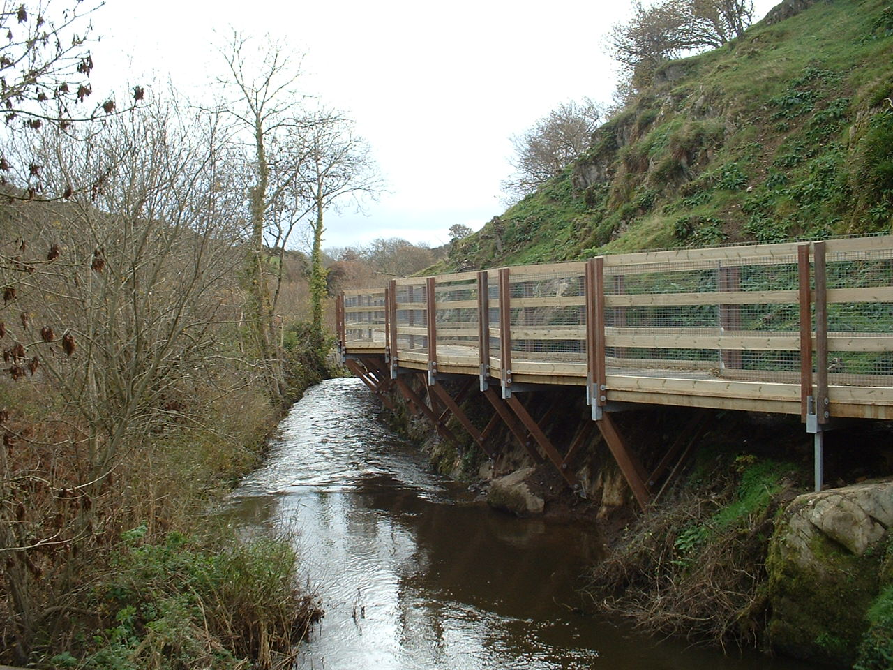 Cefni; Elevated Boardwalk